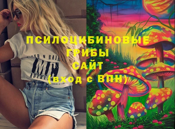 мдпв Дмитровск