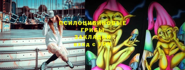 мет Дмитров