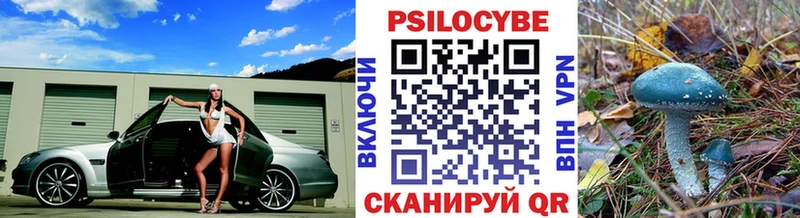 Псилоцибиновые грибы мицелий  купить наркотики цена  Терек 